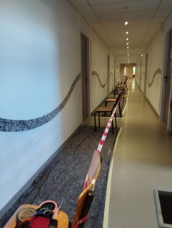 g-melendez - Collège des BALMETTES Annecy 2026